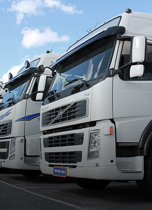 專業的物流服務