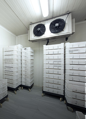 強大的系統支撐