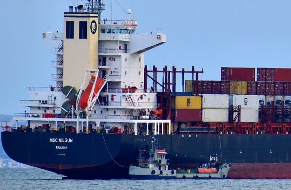 上海貨代公司的運作機制，其在全球物流體系中的獨特地位如何？