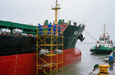 國際海運專線｜覆蓋歐美亞非，艙位穩定時效保障